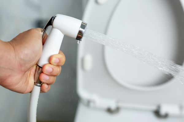 Cost of Bidet Installation in Silver Spring