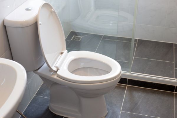 Cost of Toilet Replacement in Silver Spring