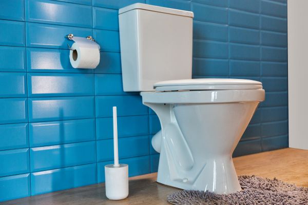Cost of Toilet Tank Repair in Silver Spring