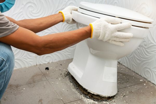 Cost of Toilet Removal in Silver Spring