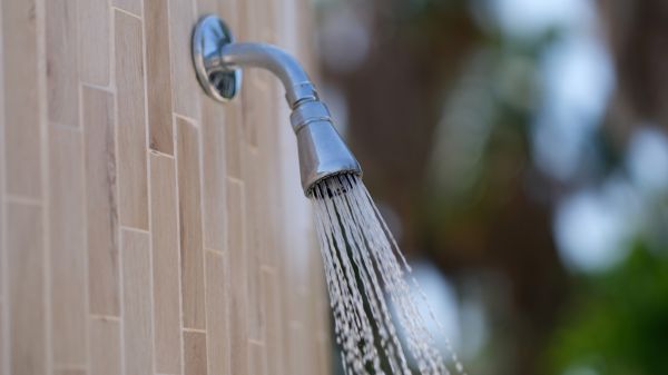 Cost of Showerhead Repair in Silver Spring