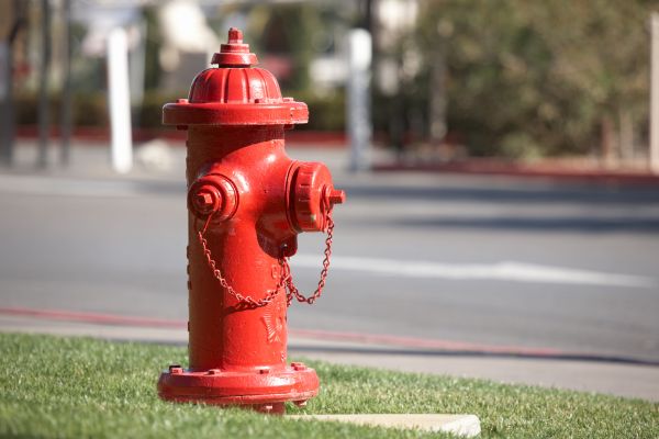 Cost of Hydrant Replacement in Silver Spring