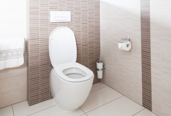 Cost of Toilet Plumbing Installation in Silver Spring